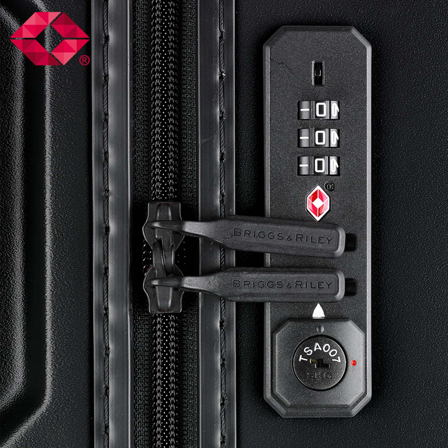 Extra Large Trunk Spinner - Image 32